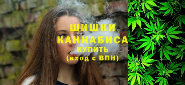 мдпв Краснотурьинск