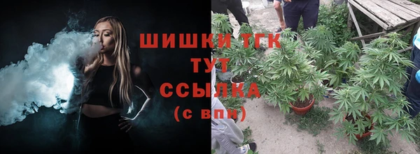 МДПВ Краснослободск