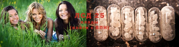 МДПВ Краснослободск