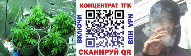 как найти закладки  Медвежьегорск  ТГК вейп с тгк 